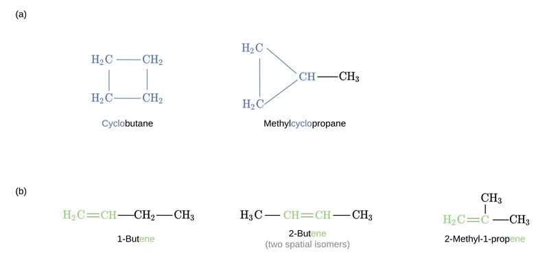 Draw structures for all constitutional isomers with the molecular formula C4H8 that-example-1