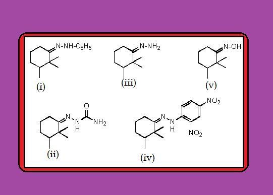 What will be formed when 2,2,3-trimethylcyclohexanone reacts with hydroxylamine?-example-1