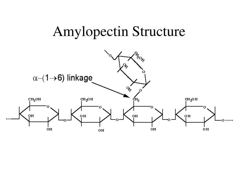 What is the structure of amylopectin?-example-1