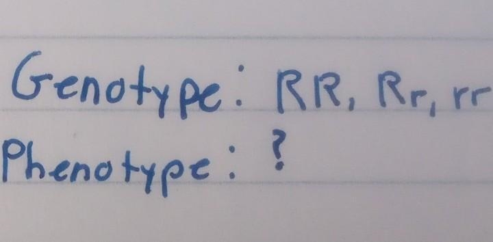 Punnet squares, help how do I do this-example-2