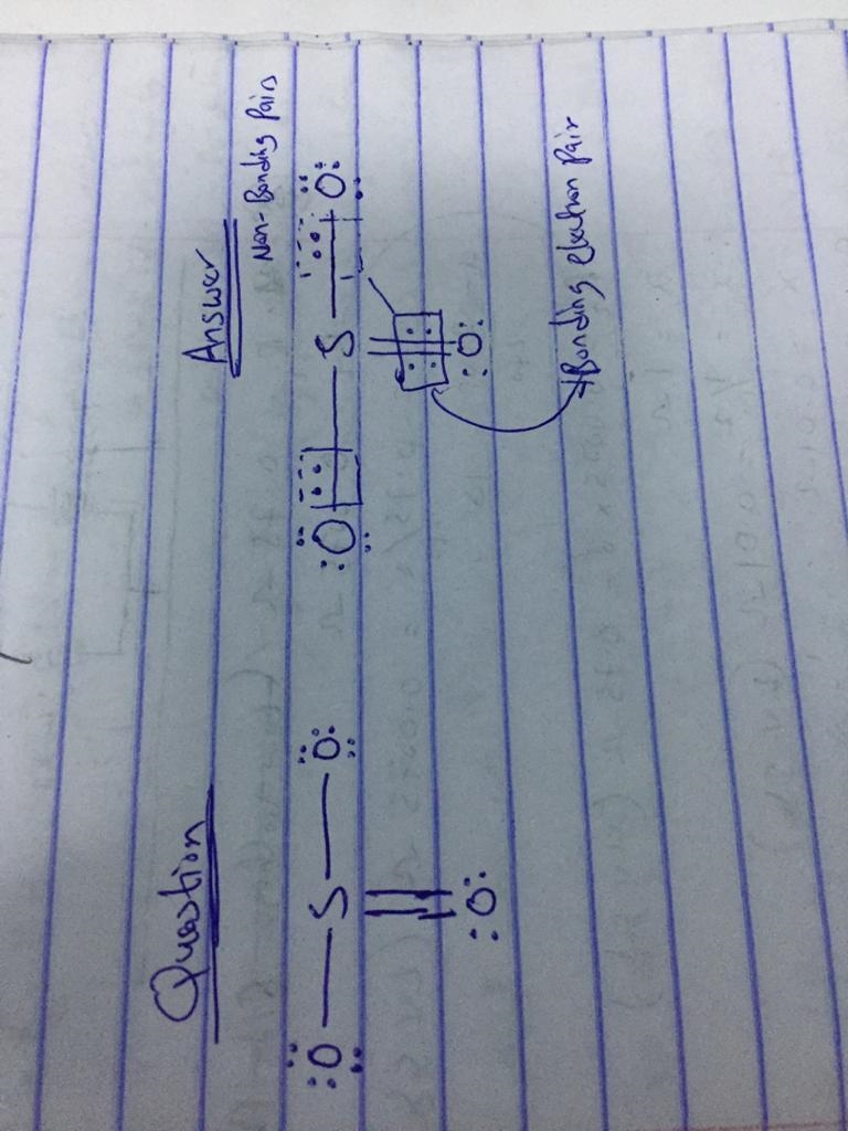 Determine the number of shared and unshared pairs of electrons in the structure. shared-example-1