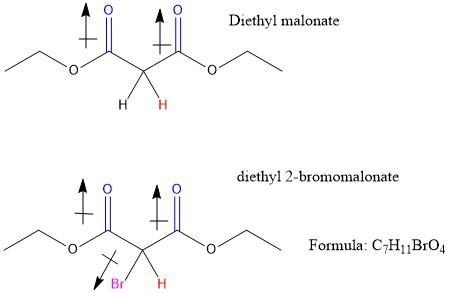 Diethyl malonate (the starting material for the malonic ester synthesis) reacts with-example-1