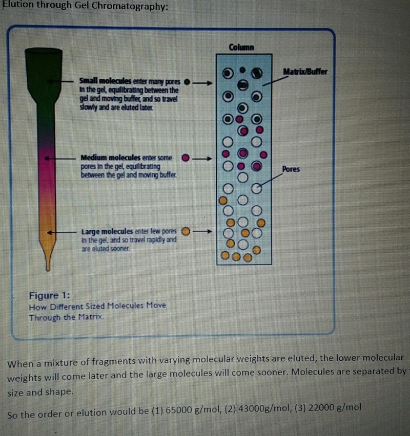 An interesting enzyme, whose molecular weight is 56,000 g/mol, is used in catalytic-example-1