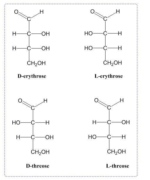 Draw the Fischer projections of the four aldotetroses. Draw the D sugar on the left-example-2