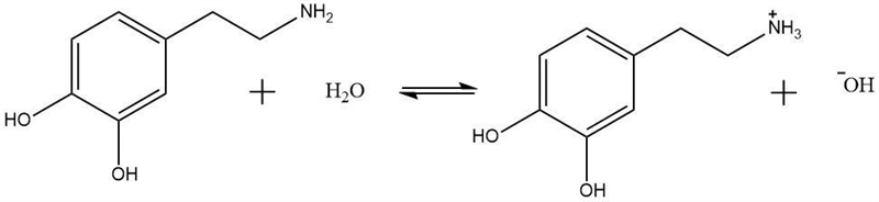 Write the reaction equation and equilibrium equation for dopamine-example-1