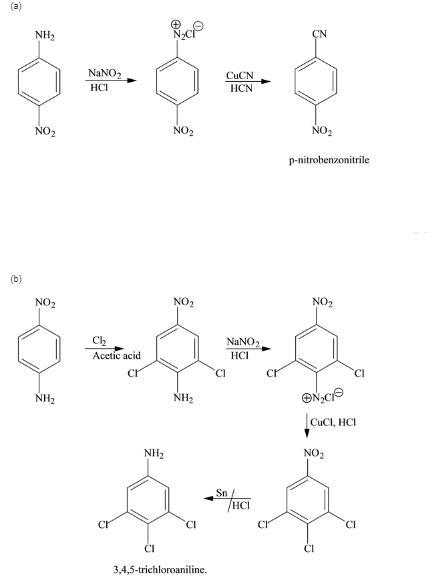 Each of the following compounds has been prepared from p-nitroaniline. Outline a reasonable-example-1