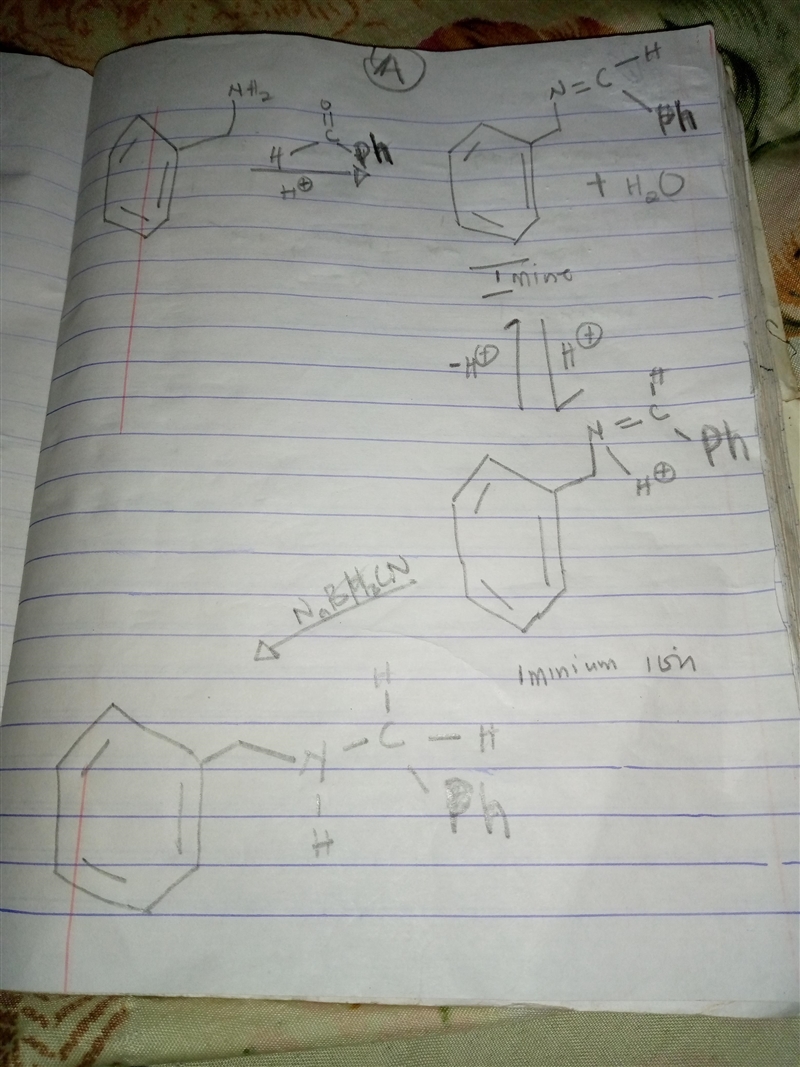 Show how you could prepare each of the following amines from benzaldehyde by reductive-example-1