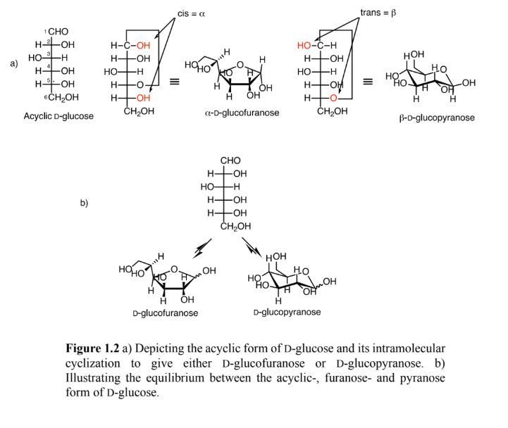 What is the absolute configuration around the stereogenic center in the acyclic form-example-2