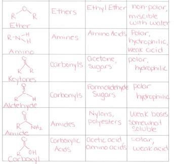 What does this image represent? Amine group Carbonyl group Ether group Hydroxyl group-example-1