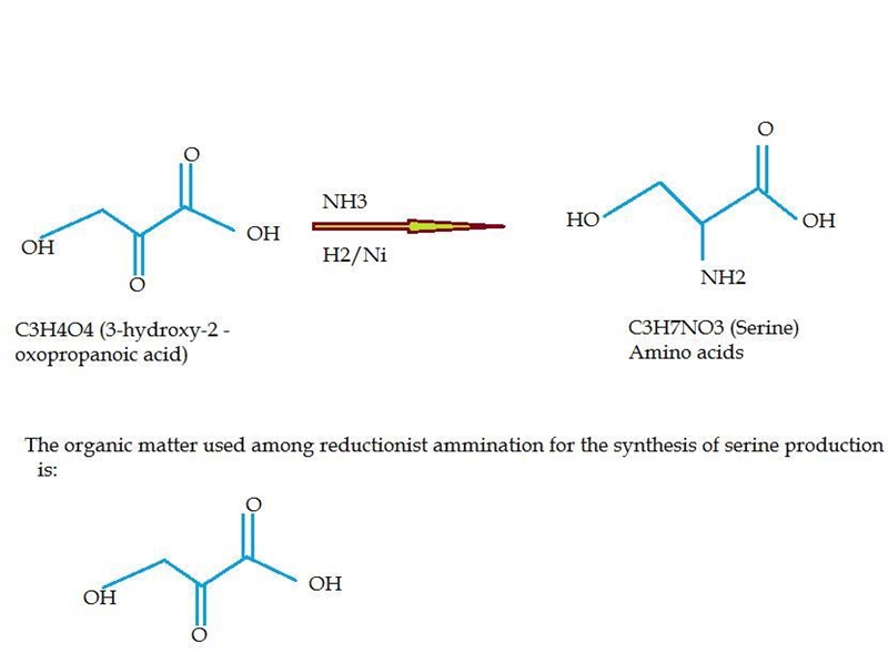 Amino acids can be synthesized by reductive amination. Draw the structure of the organic-example-1