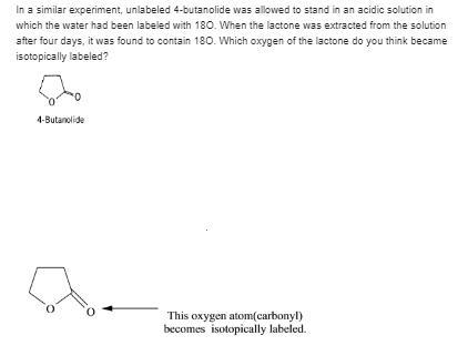 In a similar experiment, unlabeled 4-butanolide was allowed to stand in an acidic-example-1