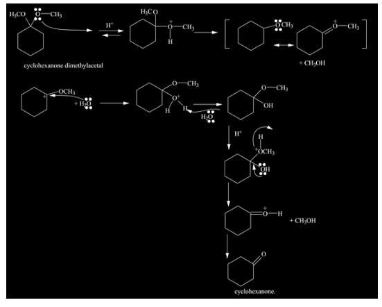 Propose a mechanism for the acid-catalyzed hydrolysis of cyclohexanone dimethyl acetal-example-1