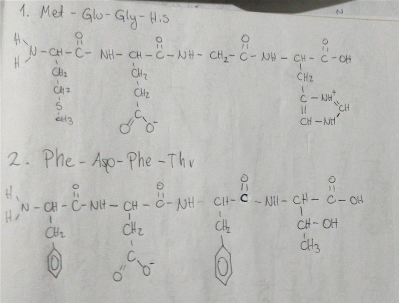 Draw the complete structure of the following tetrapeptides (draw the ionized groups-example-1