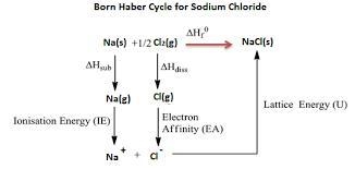 1.Draw the born-Haber lattice energy cycle for sodium chloride. Explain the concept-example-1