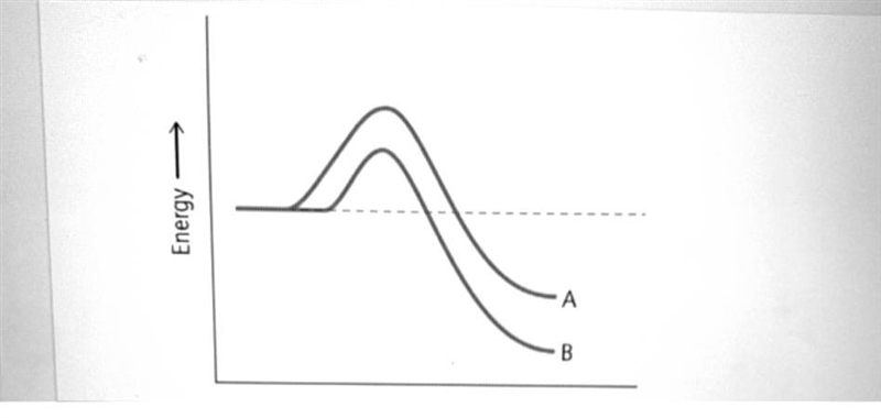 Reaction pathway A is exothermic. neither exothermic nor endothermic. endothermic-example-1