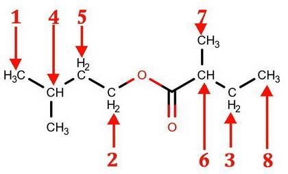 The volatile organic compounds (VOCs) produced by decomposing tissue and organs were-example-1