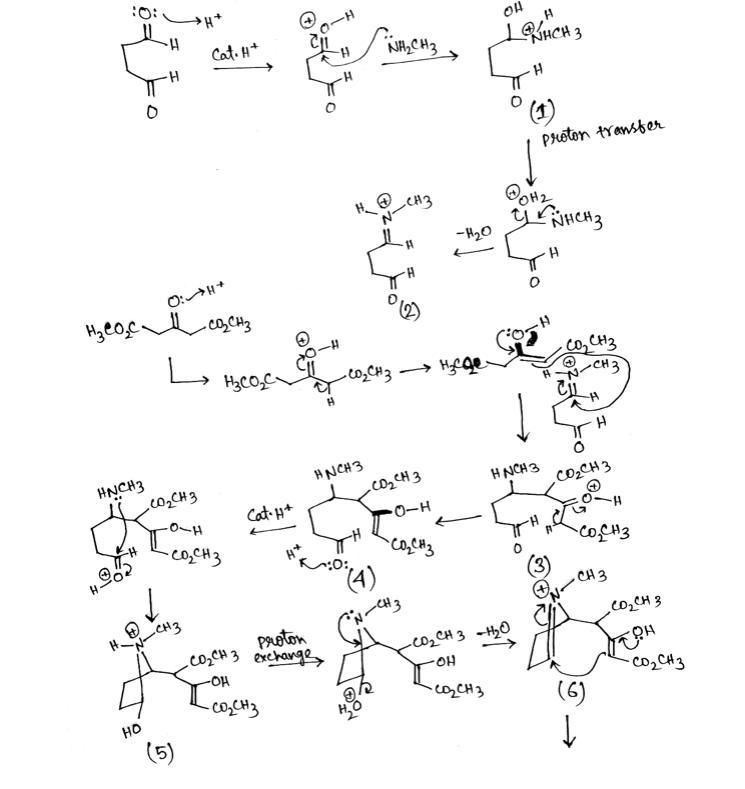 Cocaine has been prepared by a sequence beginning with a Mannich reaction between-example-1