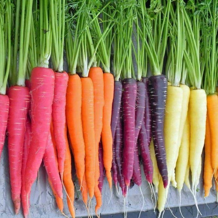 What color is a carrot-example-1