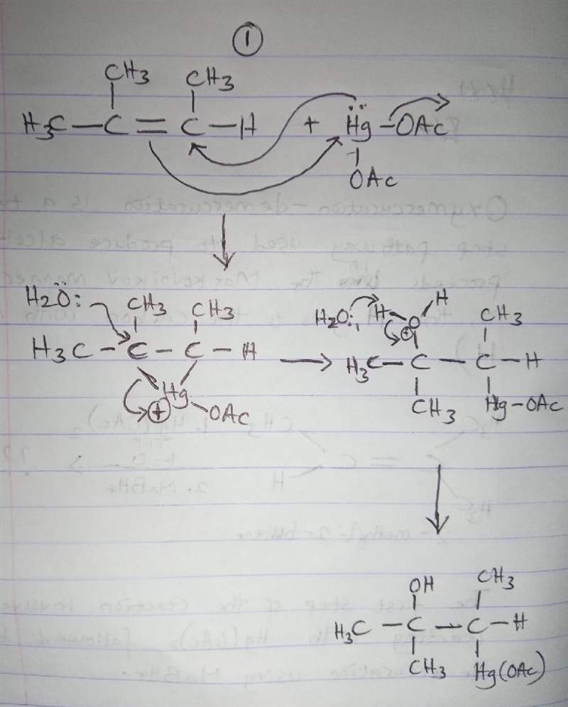 Q 11.8: Exposure of 2-methyl-2-butene to oxymercuration-demercuration conditions provides-example-2