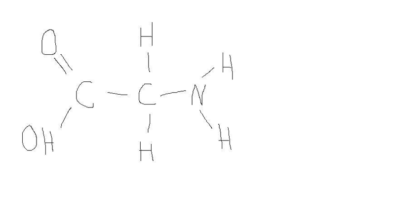 Amino acids are the building blocks of proteins. The simplest amino acid is glycine-example-1