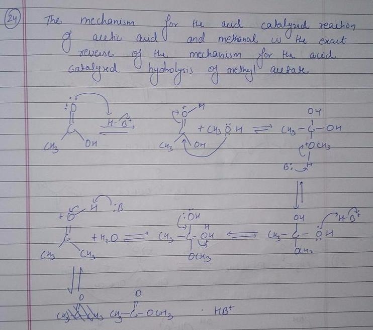 Using the mechanism for the acid-catalyzed hydrolysis of an ester as your guide, write-example-1