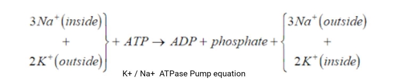 Explain how the electrical model for the control of cellvolume can be used to conclude-example-1