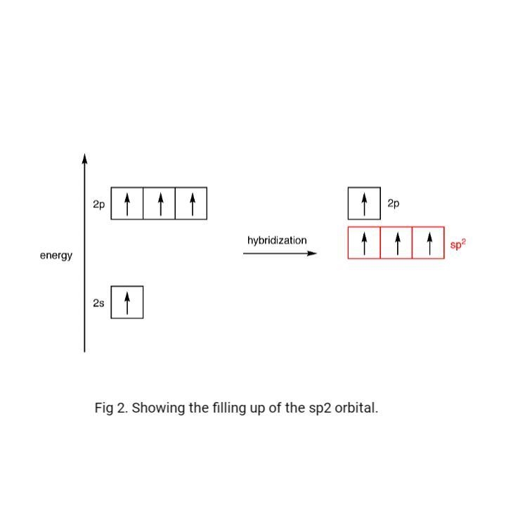 Give the hybridization of each carbon in the molecule below.-example-3