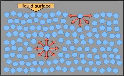 The surface tension of water is 7.28 ✕ 10−2 J/m2 at 20°C. Predict whether the surface-example-1