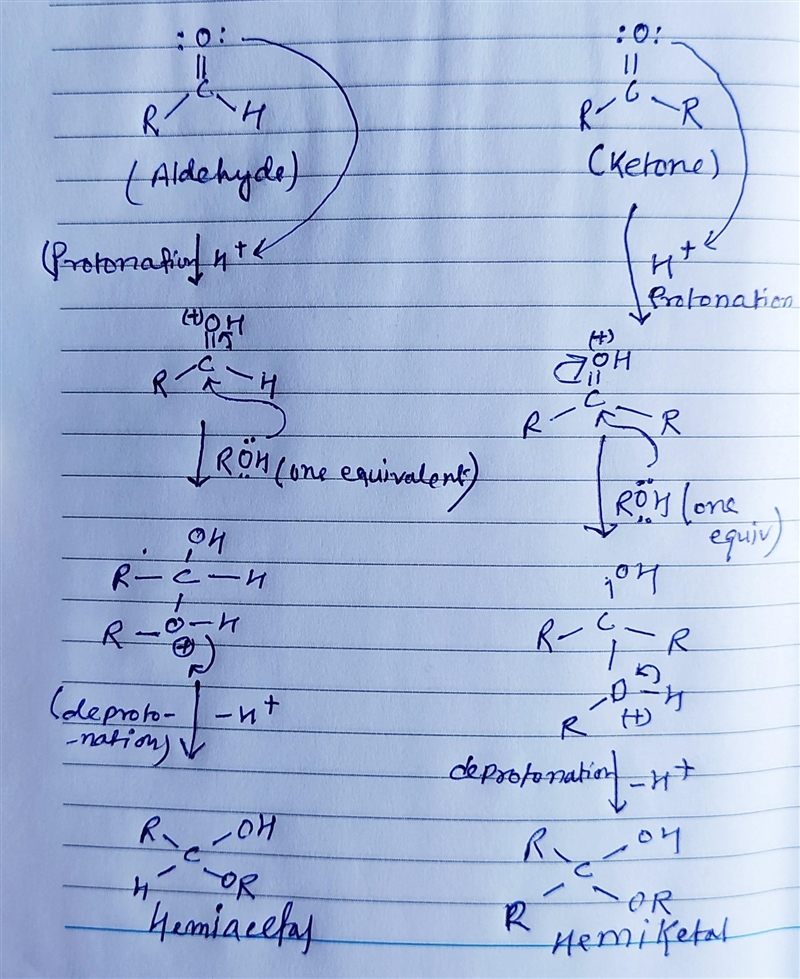 Aldehydes and ketones react reversibly with two equivalents of alcohol in the presence-example-1