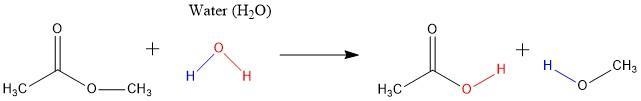 What is the difference between hydrolysis reaction and neutralization reaction.​-example-1