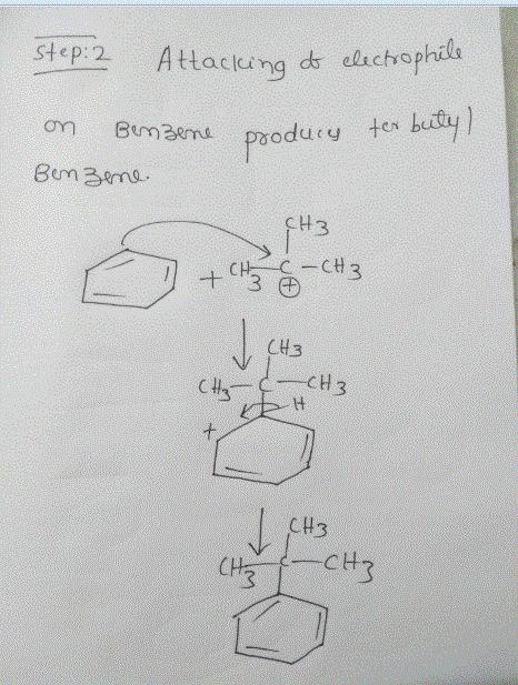 Practice Problem 18.48 When benzene is treated with 2-methylpropene and sulfuric acid-example-2