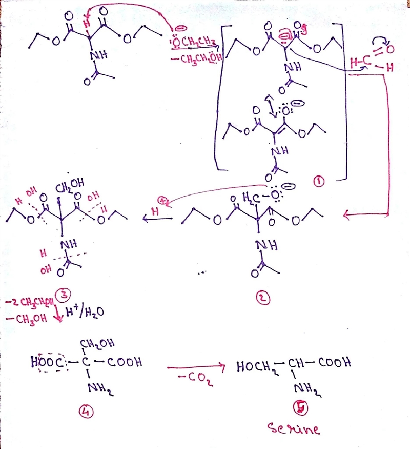 A variation of the acetamidomalonate synthesis can be used to synthesize serine. The-example-1