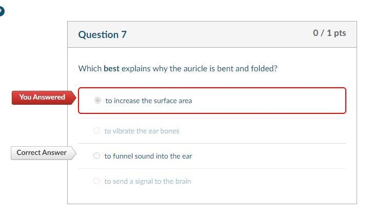 Which best explains why the auricle is bent and folded? to increase the surface area-example-1