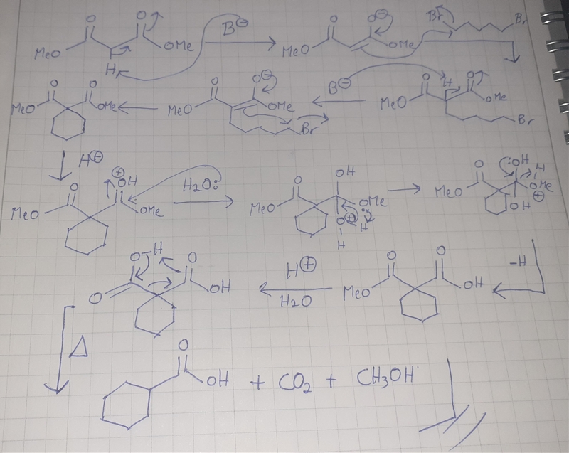 What carboxylic acid would be formed if the malonic ester synthesis (alkylation of-example-1