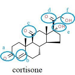 Identify the functional group(s) that appear in the molecule cortisone (a major hormone-example-2