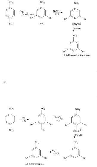 Each of the following compounds has been prepared from p-nitroaniline. Outline a reasonable-example-2