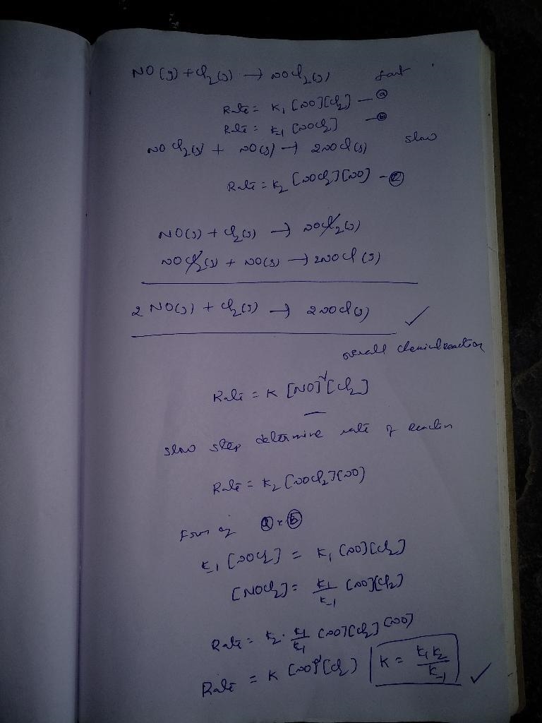 g Suppose the formation of nitrosyl chloride proceeds by the following mechanism: step-example-1