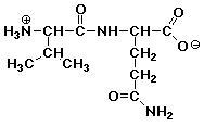 the two amino acids, glycine and alanine, can form two different dipeptides. Draw-example-1