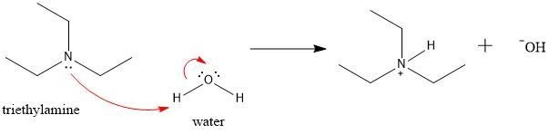 Write a net ionic equation to show that triethylamine, (C2H5)3N, behaves as a Bronsted-example-1