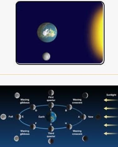 Which picture shows how the moon from earth when it’s in the position-example-1