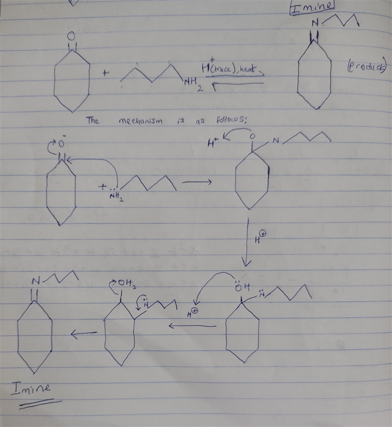 Draw the neutral organic product expected under these reaction conditions.-example-1