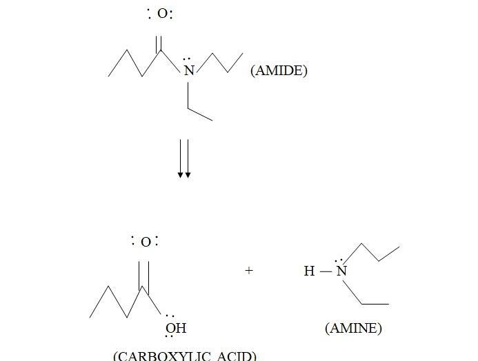 Draw the structure of the amine and carboxylic acid reactants required to form the-example-1