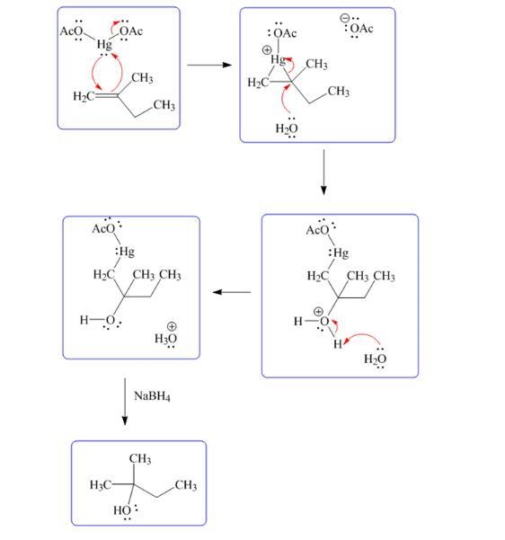 An alkene can be converted to an alcohol upon reaction with Hg(OAc)2 in H2O followed-example-1