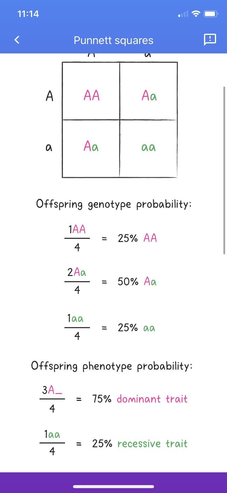 How do you do a punnett square.-example-2