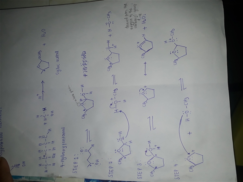 4-hydroxypentanal reacts with one equivalent of methanol to form a cyclic acetal. Draw-example-1