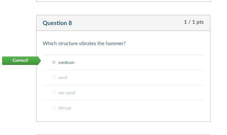 Which structure vibrates the hammer? stirrup ear canal eardrum anvil-example-1