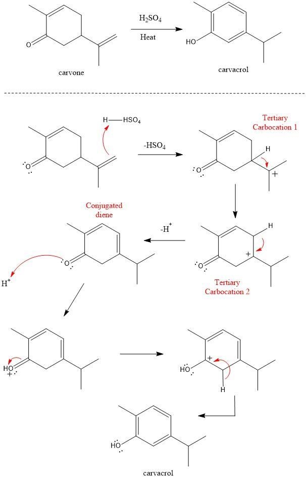 Heating carvone with aqueous sulfuric acid converts it into carvacrol. The mechanism-example-1