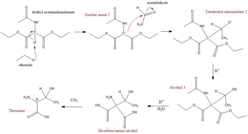 A variation of the acetamidomalonate synthesis can be used to synthesize threonine-example-1