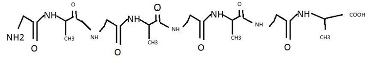 An octapeptide composed of four repeating glycylalanyl units has one free amino group-example-1