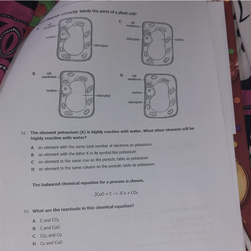 NEED HELP ON 31,32,33..ONLY IF YOU KNOW PLEASE-example-1